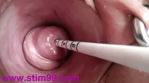 ఆరియా రోజ్