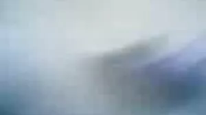 గార్జియస్ అఫ్రో