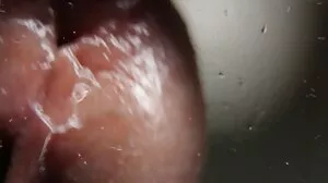 సహాయం ఫైలు
