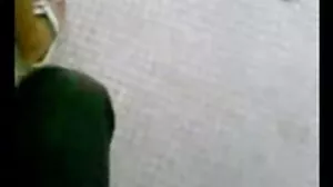 సుమారు
