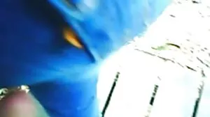 లీక్సీ నమ్మకాలలో