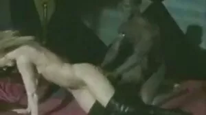 ఫన్నీ బన్నీ
