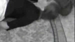 చోక్స్