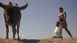 లిల్లి